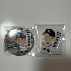 Item thumbnail for item c32879e3-3bb6-4eb2-9d3f-ab380804e7f6