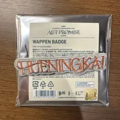 TXT ACT:PROMISE HUENINGKAI ワッペンバッジ