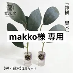 【神棚・神具】神榊：賢木 2対セット 神雅 璨（さん） 2個セット