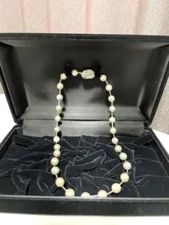 【最終価格】パール　シルバー　チョーカー　ネックレス