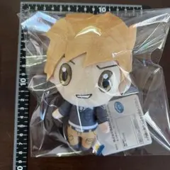 ポケモンマスターEX ポケマス N ぬいぐるみ タグ付き 新品 - メルカリ