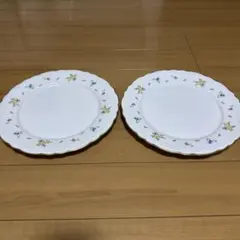 Noritake 花柄オーバル皿 2枚セット