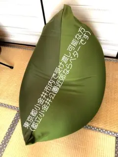 王様もダメになる もち クッション ふわごろ（グリーン）