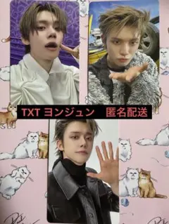 ヨンジュン　フォトカードケースver 3枚セット