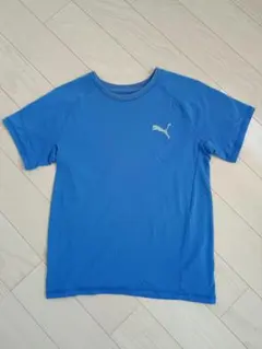 PUMA　Tシャツ　150サイズ