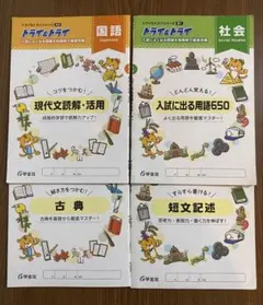トライ&トライシリーズ 国語・社会4冊セット