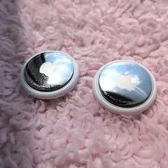 【正規品】Apple アップル エアタグ 2個 ケース マグネット