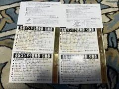 野沢温泉 長坂ゴンドラ搭乗券 往復引換券 4枚セット