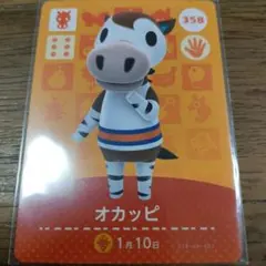 あつまれどうぶつの森　amiiboカード　オカッピ