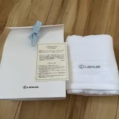 Item thumbnail for item f1ded72c-f4f0-48bc-914a-79d06a3b2974