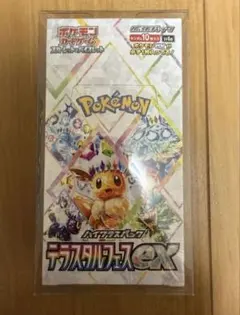 (シュリンク付き)ポケモンカードゲーム テラスタルフェスex 1BOX