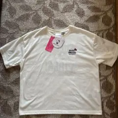 Item thumbnail for item 1e7e832e-004a-4d99-9aa3-45f3c21b9343