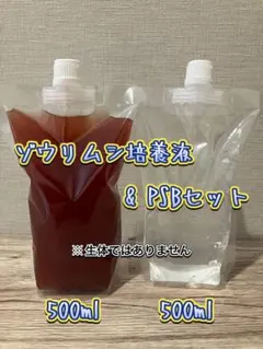 ゾウリムシ & PSBセット #500ml#メダカ#金魚#針子#稚魚のサムネイル