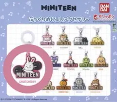 MINITEEN ミニティーン めじるしアクセサリー ガチャ エスクプス