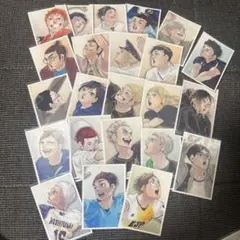 2026年最新】ハイキュー 思い出スナップフォトカード 宮治の人気