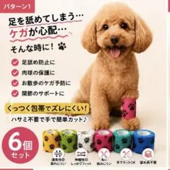 [강아지 및 고양이 접착식 붕대 6개] 발 핥기 방지 발 보호 부상 방지 테이핑 탄성 붕대