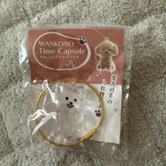 値下げわんこタイムカプセル　犬グッズ