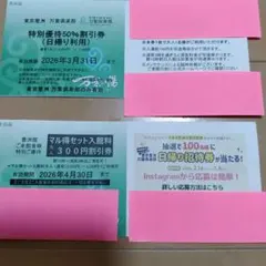 東京豊洲　万葉倶楽部　特別優待50%割引券　日帰り利用　おまけ付き