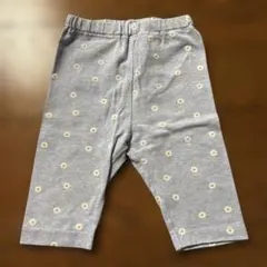 Item thumbnail for item b63b5178-79a0-405e-bce9-2768cd5fbdbb