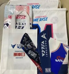 Item thumbnail for item bbcec97d-5195-4351-b1a4-ab294b47da89