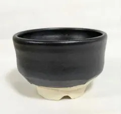 Item thumbnail for item fa99cfee-e0d4-441c-9bd0-83c71b5e65f5