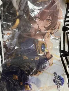Shadowverse ECS2026愛知大会 カンディマ ラバーマット - メルカリ