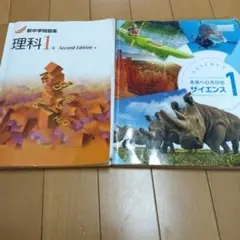 Item thumbnail for item a84672a6-9408-41ea-99cc-711704705580