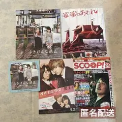 二階堂ふみ 映画 フライヤー 蜜のあわれ ふきげんな過去 オオカミ少女と黒王子