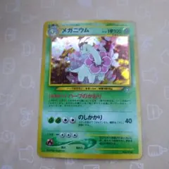 旧裏 メガニウム プレミアムファイル PROMO 第1世代 1996~1999 - メルカリ