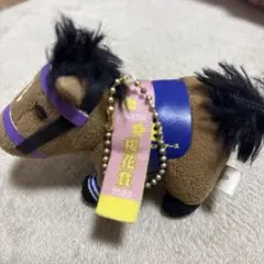 スターズオンアースニュースーパーサラブレッド