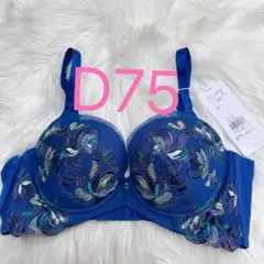 トリンプ レッドレーベル バイ トリンプ0119 ブラジャー ブルー D75