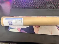 チュウニズム アイリーニ・キュリアス A3マット加工ポスター