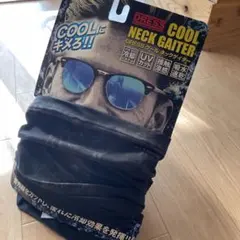 Item thumbnail for item 513ff6e8-fde8-4691-9e48-79538d3a794c