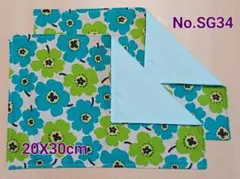 新品ランチョンマット2枚セット《No. SG34》