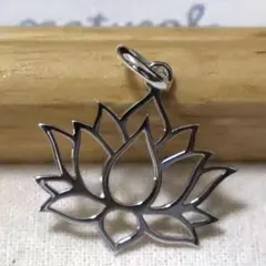 0401様 リクエスト 2点 まとめ商品 蓮　ハス　ネックレス