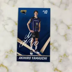 2025年最新】パナソニックパンサーズの人気アイテム - メルカリ