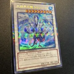 2026年最新】氷結界の龍トリシューラ dtcの人気アイテム - メルカリ