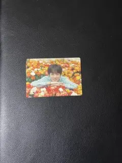 BTS loveyourself ミニフォト　グク