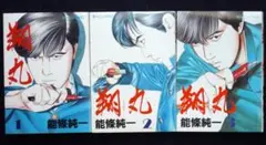 能條純一　翔丸　全巻セット　昭和６３年全巻初版　単行本　Ｂ６判