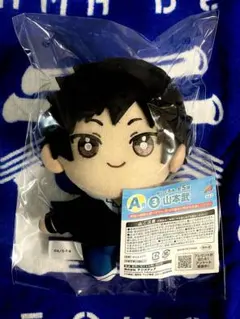 家庭教師ヒットマンREBORN! ひこくじ A賞 ぬいぐるみ　山本武