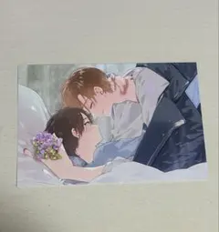 【匿名配送】ハレルヤベイビー 仔縞楽々ポストカード 5巻 特装版 特典 即購入⭕️