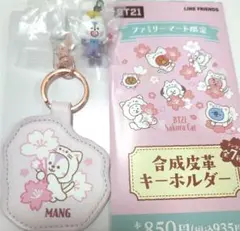 BT21 MANGセットファミマ限定キーホルダー&めじるしアクセ