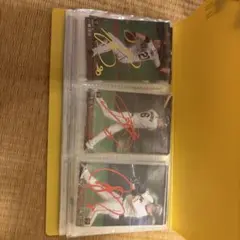 サイン入りプロ野球トレーディングカードセット
