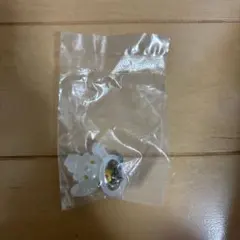 JOCHUM 白岩瑠姫 RURUめじるしアクセサリー JO1