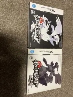 Nintendo DS ブラック　ホワイト
