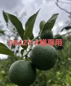 CRAZY-K様専用②のサムネイル