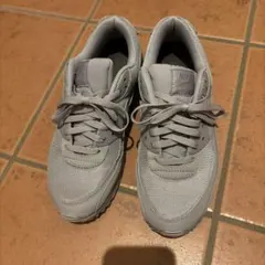 Nike Air Max 90 ビームス購入