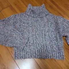 多色タートルネックニット