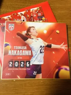 中川つかさ 選手　トレーディングｍｉｎｉ色紙　４枚セット 中川つかさ バレーボール 日本代表2026トレーディングmini色紙 - メルカリ