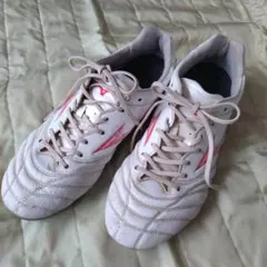 モナルシーダネオ25